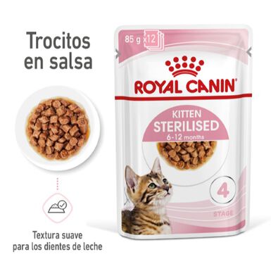 Royal Canin Kitten Sterilised saqeta em molho para gatos - Pack 12